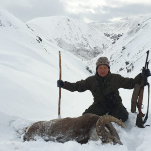 Трофейная охота на Якутского снежного барана (Чубуку), Охота на Магаданского снежного барана