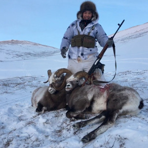 Охота на якутского снежного барана Чубуку